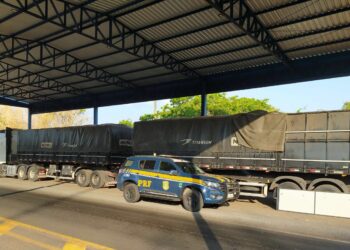 Foto: (Divulgação/PRF)