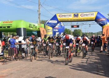 Foto: (Divulgação)