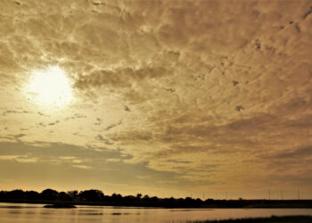 Foto: (Divulgação/Ascom)