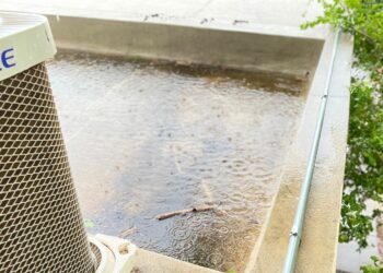 Foto: (Mariana Ferreira - Governo do Tocantins)