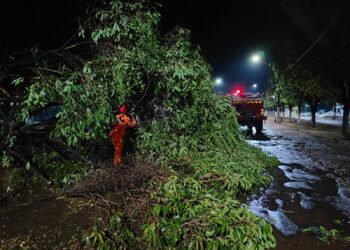 Foto: (Corpo de Bombeiros - TO)