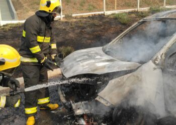 Foto: (Divulgação/Corpo de Bombeiros)