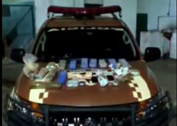 Foto: (Divulgação/PM-TO)