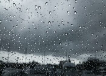 Foto: (Divulgação)