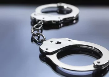 Foto: (Divulgação)