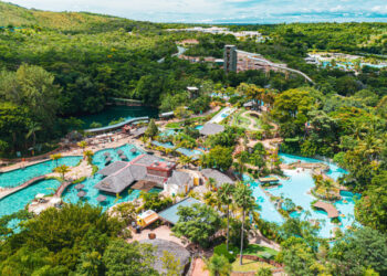 Foto: (Divulgação)