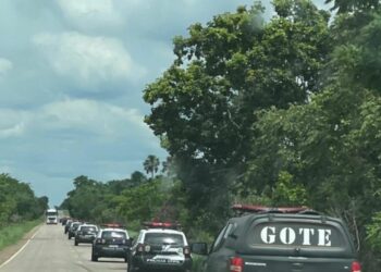 Foto: (Reprodução/Deic  Gurupi)