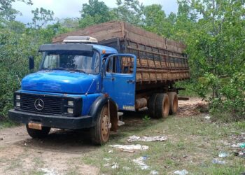 Foto: (Divulgação/PM-TO)