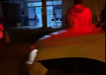 Foto: (Divulgação/PM)