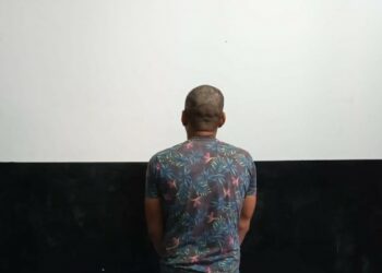 Foto: (Divulgação PCTO)