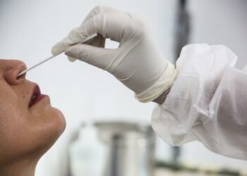 Foto: (Reprodução)