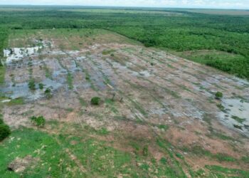 Foto: (Divulgação/PM-TO)