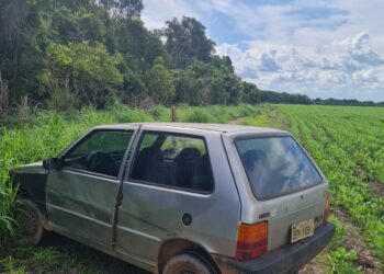 Foto: (Divulgação/PM-TO)