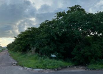 reserva do córrego Águas Claras no Park dos Buritis Foto: (Jornal Integra)