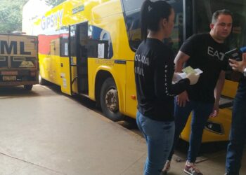 Foto: (Divulgação)