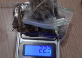 Foto: (DICOM SSP-TO)