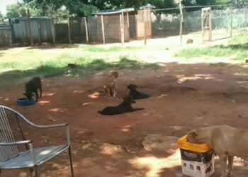 Foto: (Reprodução/Instagram)