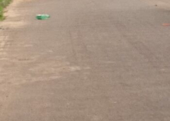 Foto: (Reprodução)