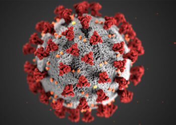 Foto: (Divulgação)