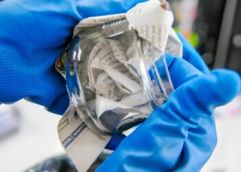 Foto: (Paulo H. Carvalho/Agência Brasil)