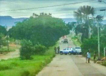 Foto: (Divulgação)