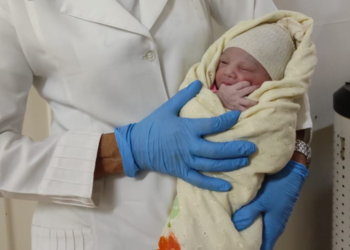 Foto: (Divulgação/SES-TO)