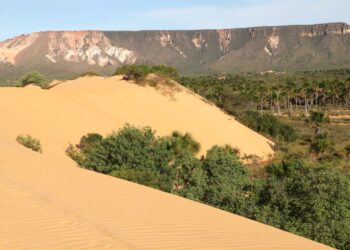 A exuberância das Dunas do Jalapão atrai visitantes e exige atenção especial por parte do órgão ambiental Foto: (Washington Luiz/Governo do Tocantins)