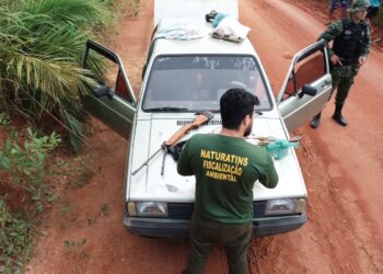 Na região Sul, homem foi autuado em flagrante e multado pelo abate de uma ema Foto: (Divulgação/Naturatins)