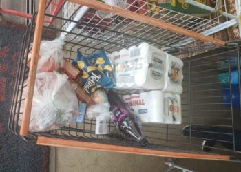 Foto: (Divulgação/PMTO)