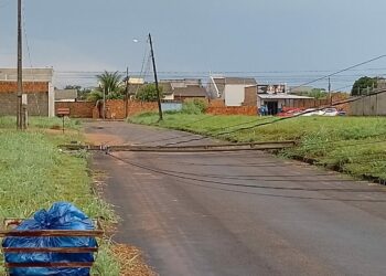 Foto: (Divulgação/Energisa)