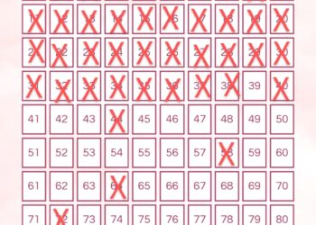 Cada número custa R$ 5 - Foto: (Divulgação)