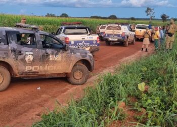 Foto: (Divulgação/Polícia Militar)