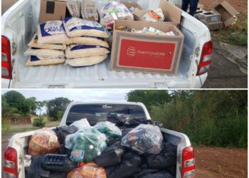 Produtos apreendidos em Tocantínia - Foto: (Divulgação)