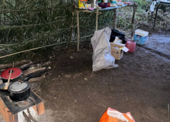 PM conduz grupo de pessoas após tentativa de invasão de propriedade rural em Nova Olinda - Foto: (Divulgação/PMTO)