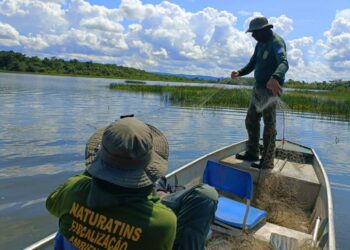 Fiscais retiram redes de pesca durante ação da lago da UHE Estreito - Foto: (Divulgação/Naturatins)