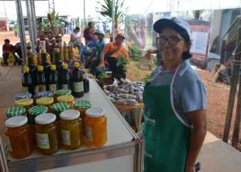 Produtos estão expostos nos pavilhões da Agricultura Familiar e do Agroextrativismo - Foto: (Delfino Miranda)