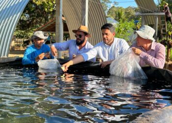 Visitantes terão a oportunidade de conhecer as últimas tecnologias e práticas inovadoras utilizadas na produção de peixes nos diferentes sistemas de criação -Foto: (Ruraltins)