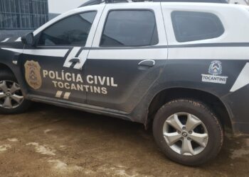 Caso foi elucidado e homem preso pela Polícia Civil do Tocantins  -Foto: (DICOM SSP TO)