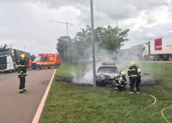 Foto: (Divulgação/Corpo de Bombeiros)