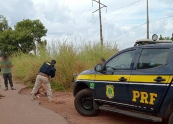 Foto: (Divulgação/PRF)