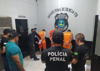 Crime foi desvendado por meio de investigações da 45ª DP de Colmeia -Foto: (DICOM SSP TO)