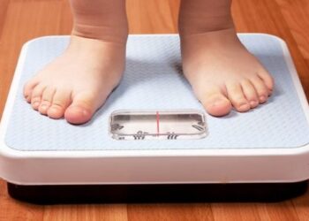 Foto: (Divulgação)