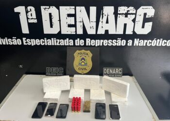 Apreensões e prisões desarticulam o crime organizado na Capital -Foto: (Divulgação/SSPTO)