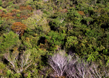 Trabalho conjunto entre as instituições objetiva a preservação dos recursos naturais - Foto: (Fernando Alves)