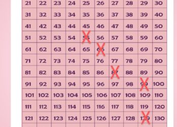 Foto: (Divulgação)