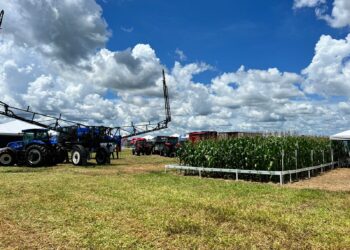 Foto: (Divulgação)