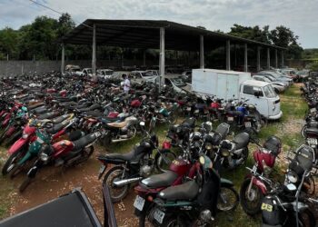 Foto: (Divulgação/Detran TO)