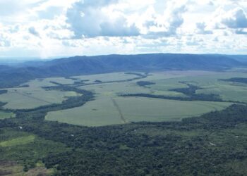 Foto: (Divulgação AgroSB)