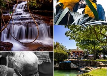 Fotos: (Arquivo pessoal/David Emmanuell)