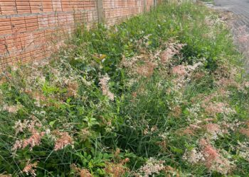 Foto: (Jornal Integra)